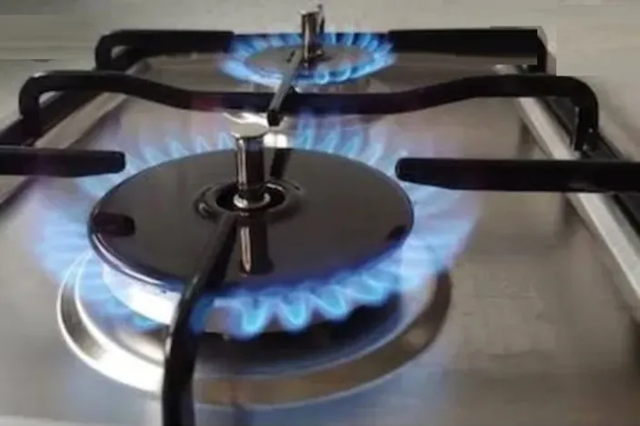 Gas Stove Repair and Service